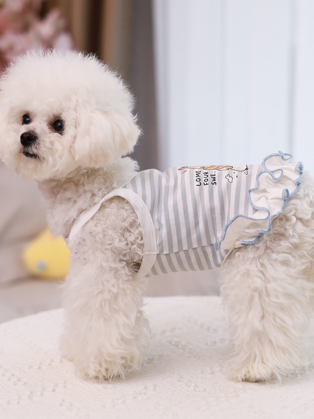 سترة للكلاب، ملابس صيفية رقيقة - مراجعة Summer Clothing Material وسعره